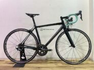 Bianchi ビアンキ FENICE 2019 SHIMANO ULTEGRA R8000 MIX 2×11s